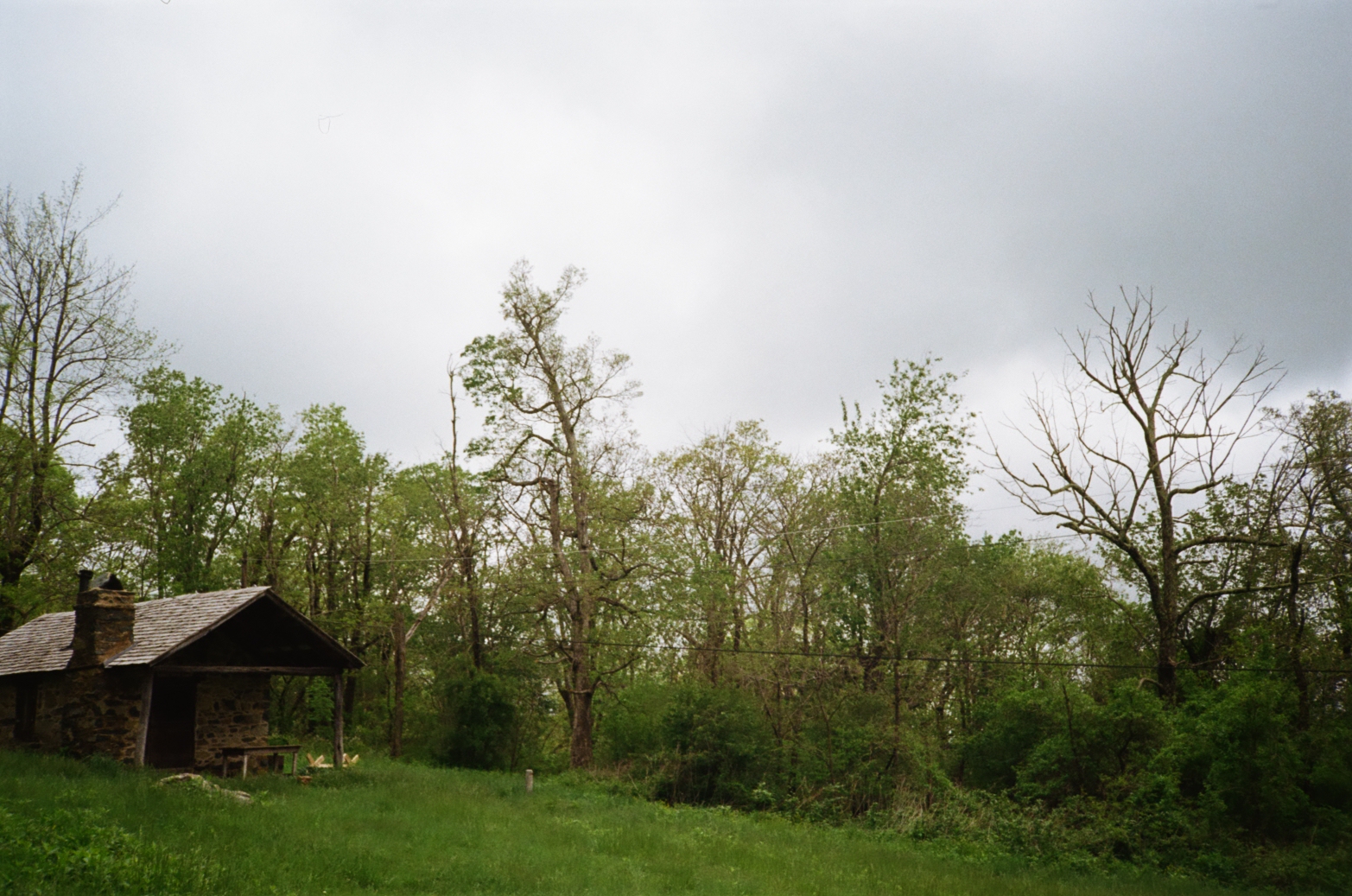 Cabin shelter with trees in overcast landscape